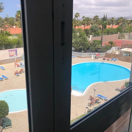 Aloe Laurent-gael * Playa del Ingles (Gran Canaria)