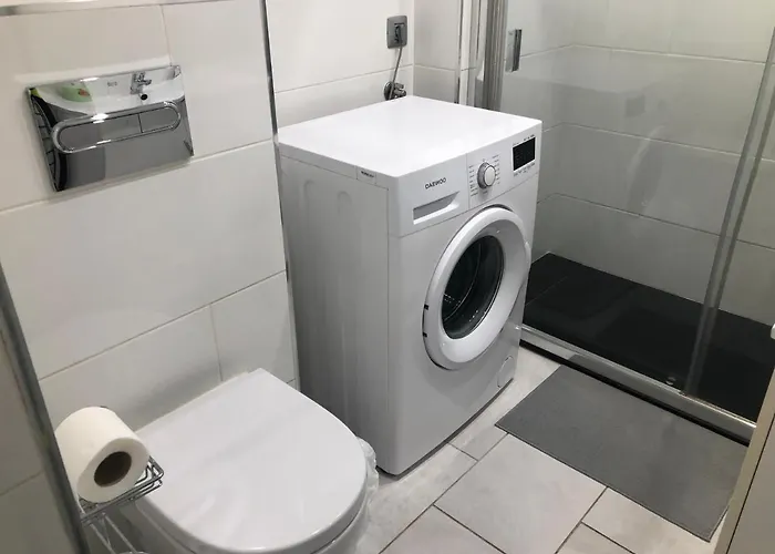 Aloe Laurent-gael * Playa del Inglés