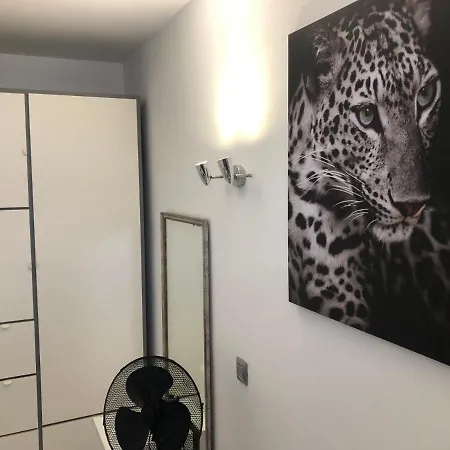 Apartament Aloe Laurent-gael *