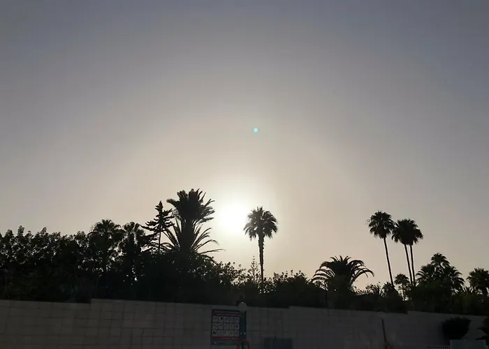 Aloe Laurent-gael Playa del Inglés