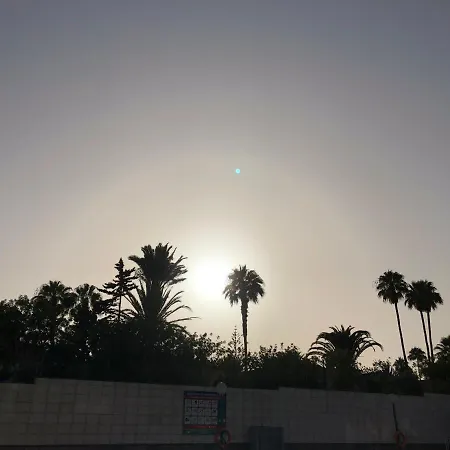 Aloe Laurent-gael بلايا ديل إنغلز