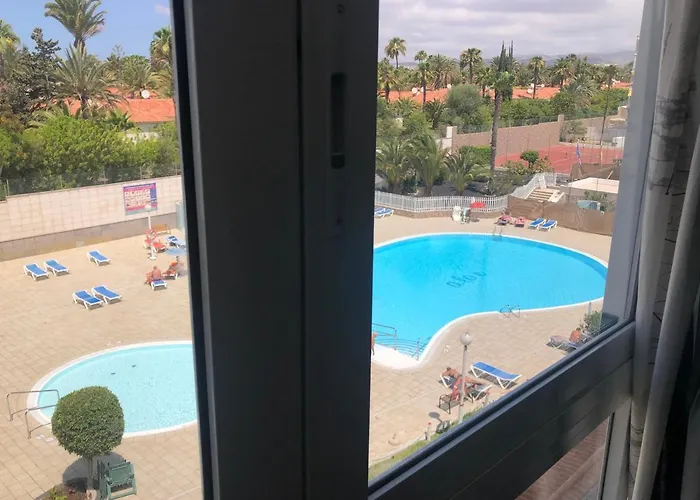 Aloe Laurent-gael * Playa del Inglés