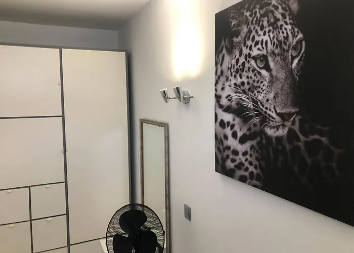 Apartament Aloe Laurent-gael *