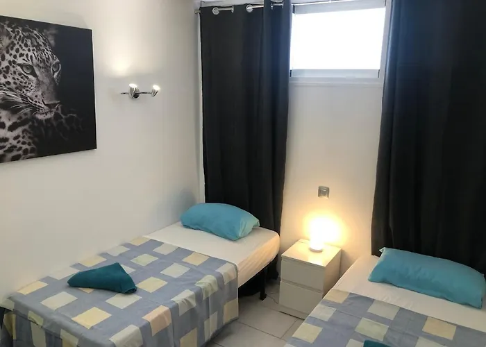 Aloe Laurent-gael Playa del Inglés